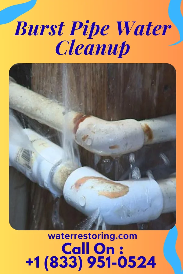 Burst Pipe Water Cleanup in Monticello, IN