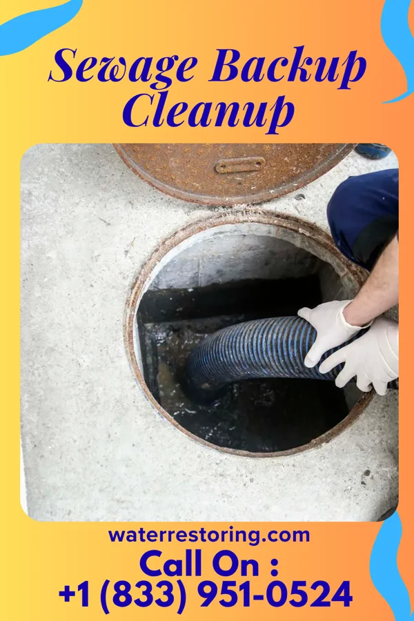 Sewage Backup Cleanup in Monticello, IN